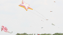 Gli aquiloni tornano a volare: da domani a domenica spettacoli, laboratori e iniziative per famiglie e scuole