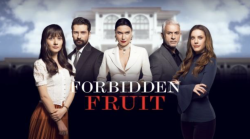 Forbidden Fruit torna stasera gioved&igrave; 7 maggio su Canale 5: intrighi, denaro e passioni nell&rsquo;alta societ&agrave; di Istanbul