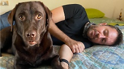 Andrea Scanzi: "I cani sono meglio di noi. I politicanti imparino da loro. Io, i labrador,  Choco investito e i reati da equiparare"