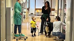 Animali come terapia e inclusione: il lavoro di Qua lo Zoccolo  in Umbria