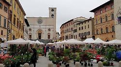 Centro storico tra natura e arte: nuova edizione di Todi fiorita