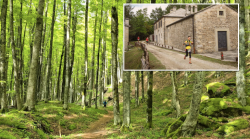 Torna Trail Sacred Forests, migliaia di atleti di corsa nel cuore del Parco del Casentino. Quattro percorsi