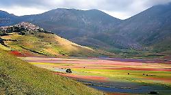 Norcia, in arrivo il piano viabilità per la Fioritura di Castelluccio 