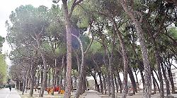 Foligno, disco verde dalla Regione al Programma di sviluppo urbano sostenibile:  progetti per oltre 9 milioni di euro