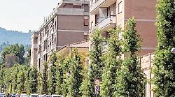 In viale Trento e Trieste sforbiciata ai parcheggi per lavori alla rete gas: nell’area disposto il divieto di sosta con rimozione