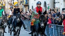 Gualdo Tadino, Giochi de le Porte: tutti i somari negativi all’esame antidoping