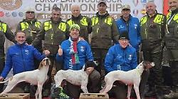 Allevato a Citt&agrave; di Castello il miglior pointer d'Europa: secondo titolo consecutivo per Art&ugrave;