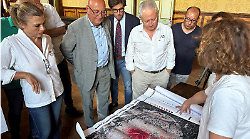 Pale eoliche, accolto il ricorso: dopo lo stop della conferenza dei servizi regionale c&rsquo;&egrave; il via libera al progetto &ldquo;Phobos&rdquo;