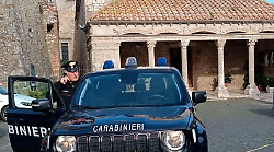 Spara dalla finestra ai piccioni e viene denunciato: sequestrato il fucile e ritirato il porto d&rsquo;armi al cacciatore di 63 anni 