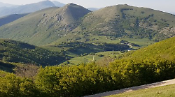 Gualdo Tadino, c'&egrave; il piano di gestione forestale. Comunanza agraria: "Nuova fase per la tutela e la valorizzazione del territorio"