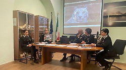 &Egrave; ancora allarme reati ambientali: oltre 700 in un anno