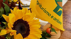 Imposta di soggiorno, scoppia la polemica: Coldiretti e Terranostra bacchettano l&rsquo;amministrazione per gli effetti degli aumenti sugli agriturismi