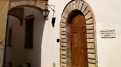 Botte, minacce e un gatto ucciso: 18enne ai domiciliari per le violenze sulla fidanzatina di 15 anni