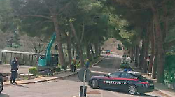 Motoseghe in azione sui 73 pini, il sindaco Dimiziani: &ldquo;Sicurezza al primo posto&rdquo;