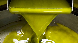 Maxi truffa dell&rsquo;olio, il gip archivia l&rsquo;inchiesta dopo la richiesta del pm