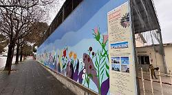 Maxi murale per le donne: un grido a colori  contro  la violenza di genere 