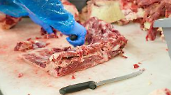 La macelleria fa troppo rumore: esposto della parrocchia in Comune