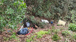 Il Bosco sacro ridotto a discarica: abbandonati rifiuti ingombranti di ogni genere