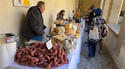  A Montefalco viaggio tra i sapori e le tradizioni del territorio: inaugurata la mostra mercato delle eccellenze alimentari e dell'artigianato