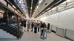 Lo Spazio d&rsquo;Arte Aurelio De Felice apre con la collettiva &ldquo;InNaturalia&rdquo;