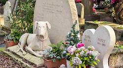 A Terni nasce il cimitero degli animali. Ok dal Comune. Ecco quanto costerà seppellire cani, gatti, uccelli e pesci