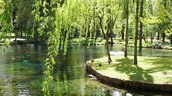 Giornata mondiale dell'acqua: alle Fonti del Clitunno a lezione di ambiente