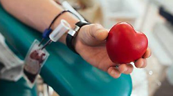 In Umbria nasce l'Officina trasfusionale unica: una sola banca del sangue per 40 mila donazioni l'anno