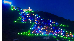 Albero più grande del mondo: inizia il conto alla rovescia