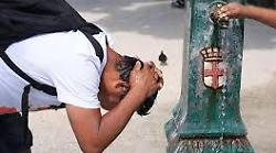 Caldo, cuore a rischio: "Occhio a pressione e battiti, 2 litri d'aqua al giorno e dieta sana"