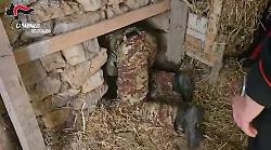 Piantagione marijuana in bunker sotterraneo nella Locride