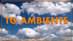 Tg Ambiente - 30/11/2025