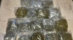 Arrestati a Bologna due trafficanti di droga con 20 kg di marijuana