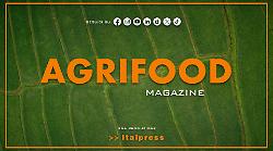 Agrifood Magazine - 10/12/2025