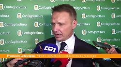 Ue, Lollobrigida "Gli agricoltori rivendicano diritto a essere protagonisti"