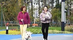 Cina, Shandong spinge sull'innovazione per far crescere l'economia pet