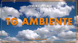 Tg Ambiente - 21/12/2025