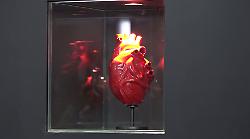 L'arte di Jago all'aeroporto di Fiumicino con "Apparato circolatorio"