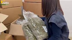 Marijuana al posto dei cosmetici, scoperto laboratorio clandestino nel varesotto