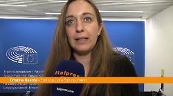 Ue, Guarda "Serve una strategia per l'autonomia energetica"