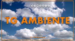 Tg Ambiente - 22/3/2026