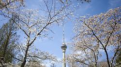 Pechino, quasi eliminate le giornate con livello "grave" di inquinamento