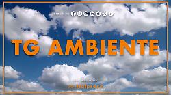 Tg Ambiente - 10/5/2026