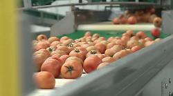 Agroalimentare, l&rsquo;export traina il settore
