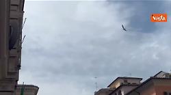 Fratoianni espone bandiera palestinese da finestre sede nazionale Sinistra italiana