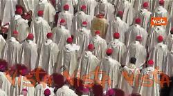 Duecento cardinali alla Messa di insediamento di Papa Leone XIV