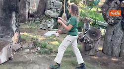 Caldo torrido, per gli animali del Bioparco di Roma ghiaccioli di frutta e yogurt