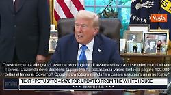 Trump mette tassa 100 mila dollari all'anno per chi emigra in Usa per lavoro altamente qualificato