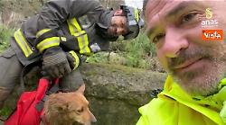 Anas e Vigili del Fuoco salvano il cane Giorgio sulla SS 19 a Tiriolo (CZ)