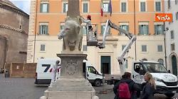 Operazioni in corso per riparare la zanna dell'elefante della Minerva a Roma