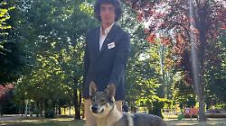 Glyphis_Lorenzo_Gagliardi_Tiferno_Dog_Show